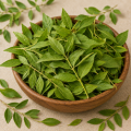 Henna Leaves